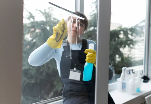 Nettoyage de vitres intérieures et extérieures à Prin-Deyrançon
